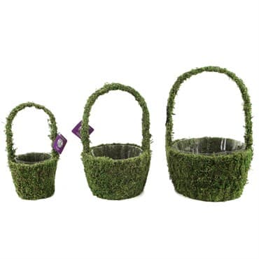 SuperMoss 3pc Set Vista Round Moss Deco Baskets — photo 1 of 2