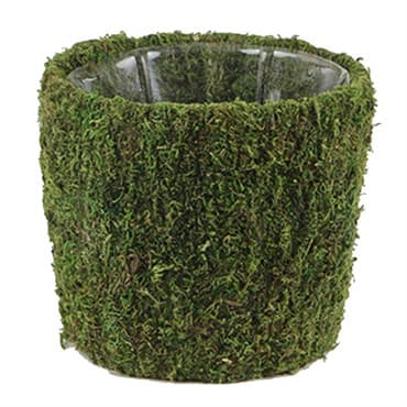 SuperMoss Small Creekside Moss Deco Basket — photo 1 of 2