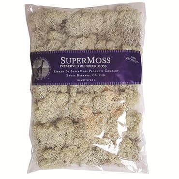 SuperMoss 8oz Reindeer Moss Natural — photo 1 of 2