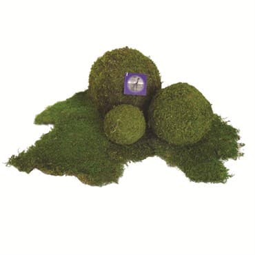 SuperMoss 4" Bulk Moss Ball — photo 1 of 2