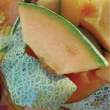 Cantaloupe, Rocky Ford Green Flesh 1/2lb — photo 1 of 2