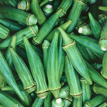 Okra, Clemson Spineless 1/2oz — photo 1 of 2