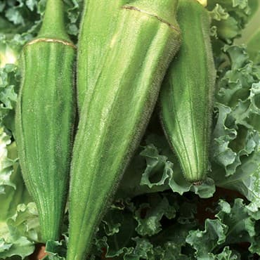 Okra, Long Pod Green 4oz — photo 1 of 2