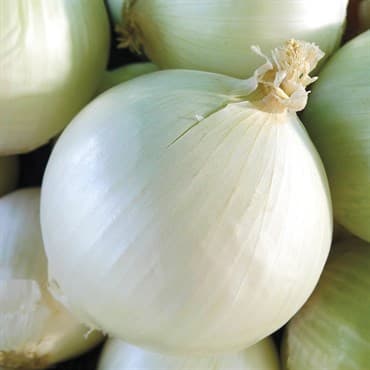 Onion, White Sweet Spanish 1/2oz — photo 1 of 2