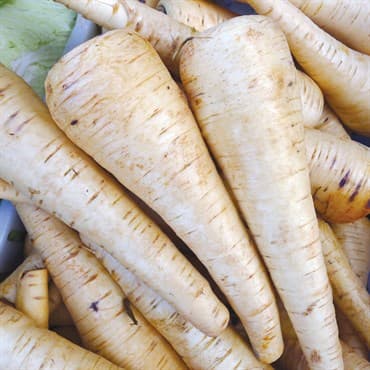 Parsnips, Harris Model 1lb — photo 1 of 2
