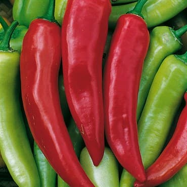 Peppers, Hungarian Hot Wax 1/2oz — photo 1 of 2