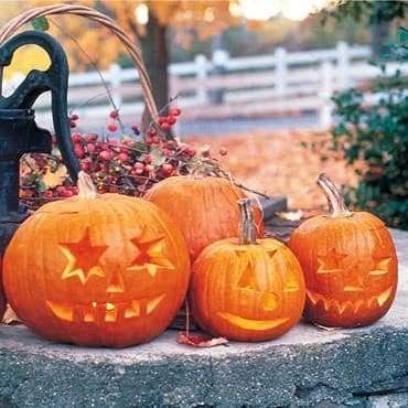 Pumpkin, Jack O Lantern 1/2lb — photo 1 of 2