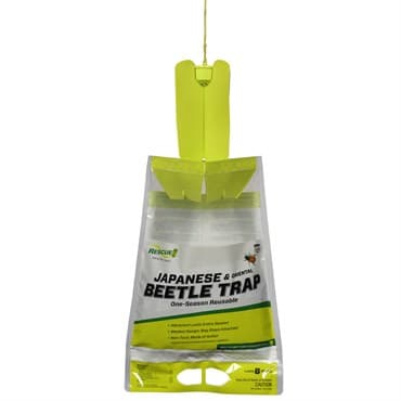 Rescue Japanese Beetle Reusable Gravity Feed — photo 1 of 2