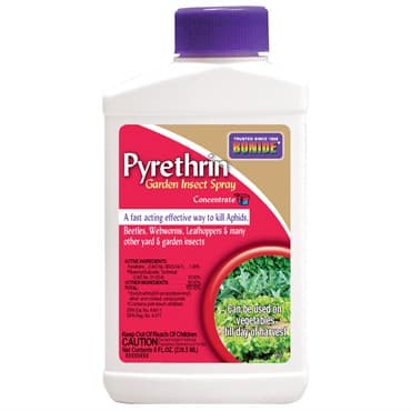 Bonide 8oz Liquid Pyrethrin Concentrate — photo 1 of 2