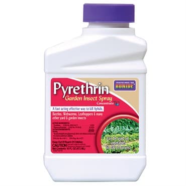 Bonide Pt Pyrethrin Garden Insect Spray — photo 1 of 2