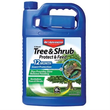 BioAdvanced 1gal 12 Month Tree & Shrub Protect & Feed (Keywords: Bayer ) — photo 1 of 2