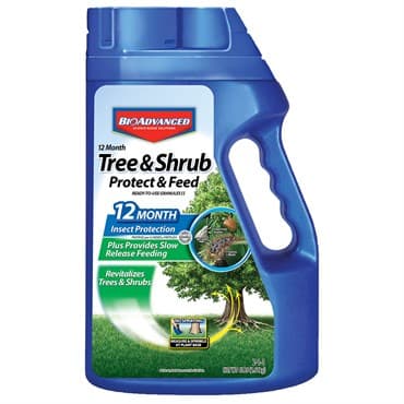 BioAdvanced 4# 12 Month Tree & Shrub Protect & Feed Granules (Keywords: Bayer ) — photo 1 of 2