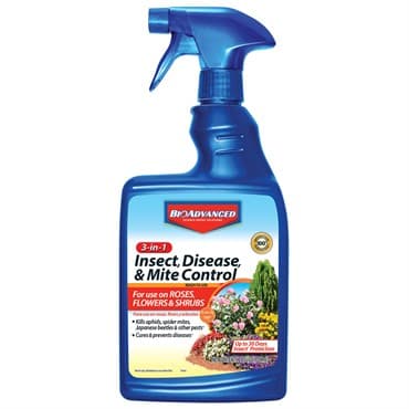 BioAdvanced 24oz 3-In-1 Insect Disease & Mite Control RTU (Keywords: Bayer ) — photo 1 of 2
