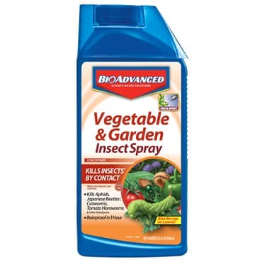 BioAdvanced 32oz Vegetable & Garden Insect Care Concentrate (Keywords: Bayer ) — photo 1 of 2