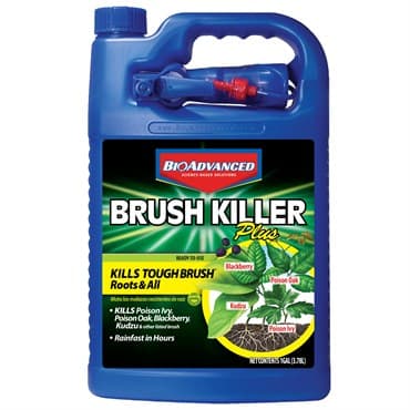 BioAdvanced 1gal Brush Killer Plus RTU (Keywords: Bayer ) — photo 1 of 2