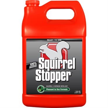 Squirrel Stopper 1gal Repellent Trigger Ready to Use — photo 1 of 2