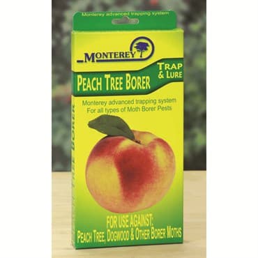 Monterey Peach Tree Borer Trap & Lure — photo 1 of 2