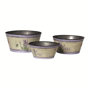 Braun Med Garden Bowl French Lavender — photo 1 of 2
