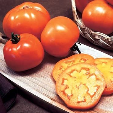 Tomato, Golden Jubilee 1/2oz — photo 1 of 2