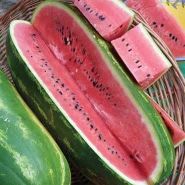 Watermelon, Jubilee 1/2oz — photo 1 of 2