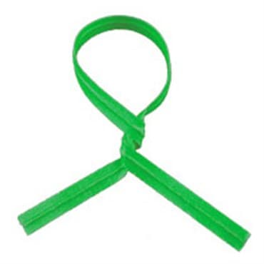 SHI 8IN GREEN PAPER TIES 2000/BX — photo 1 of 2