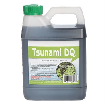 Sanco QT Step 4 Tsunami DQ — photo 1 of 2