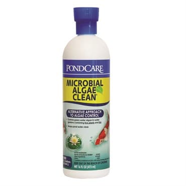 API Pond 16oz Microbial Algae Clean — photo 1 of 2