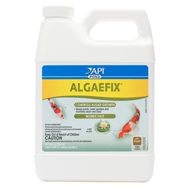 API Pond 32oz Algae Fix Treats 9600 Gallons — photo 1 of 2