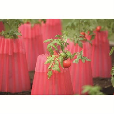 Bosmere Kozy Coats Water Filled Teepee Plant Protector 2PK — photo 1 of 2