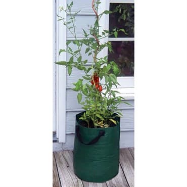 Bosmere Tomato Planter Bag Pack of 3 — photo 1 of 2