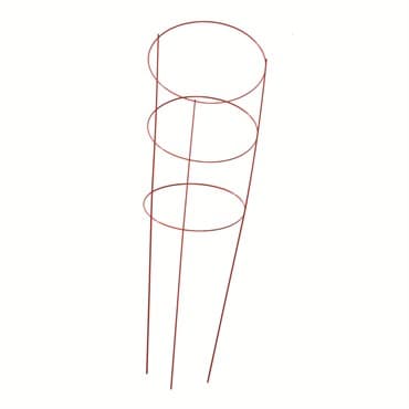 Panacea 54" Red Tomato Cage 4 Leg 4 Ring — photo 1 of 2