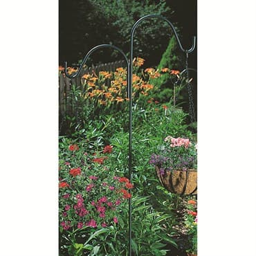 Panacea 84" Black Double Hook — photo 1 of 2