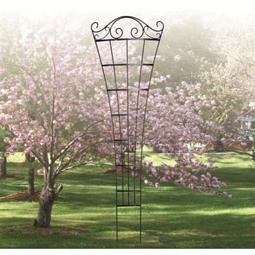 Panacea 84" Romantic Fan Curved Trellis Black — photo 1 of 2