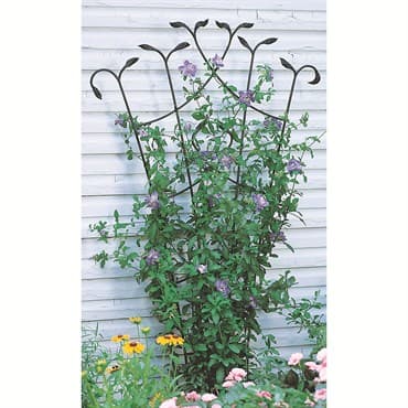 Panacea 80" Black Forged Fan Trellis With Leaves — photo 1 of 2
