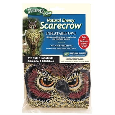 Dalen Gardeneer 2' Inflatable Owl On Clip Strip — photo 1 of 2