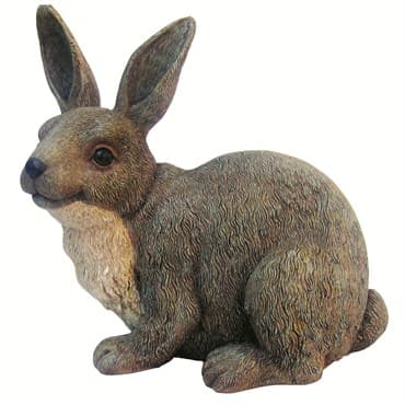 MCarr Brother Rabbit — photo 1 of 2