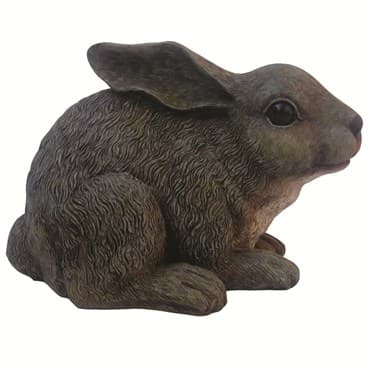 MCarr Baby Rabbit — photo 1 of 2
