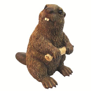 MCarr Beaver Medium — photo 1 of 2