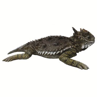 MCarr Large Horned Toad Resin Statue — photo 1 of 2