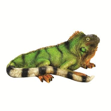 MCarr Iguana Small — photo 1 of 2