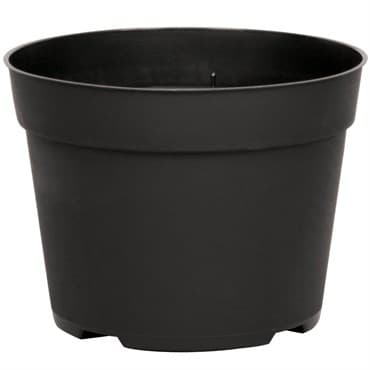 DLN 06.50 RND AZ TRAD T/W BLK 240/CS 48CS/PL — photo 1 of 2