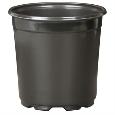 DLN 17.00 CM EURO POT COEX TALL BLK 294/CS 32CS/PL — photo 1 of 2