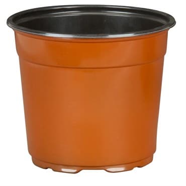 DLN 17.00 CM EURO POT COEX TALL TC 294/CS 32CS/PL — photo 1 of 2