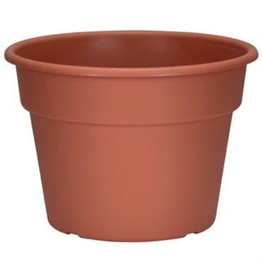DLN 10.00 COLOR POT 1 CL 58/CS 32CS/PL — photo 1 of 2