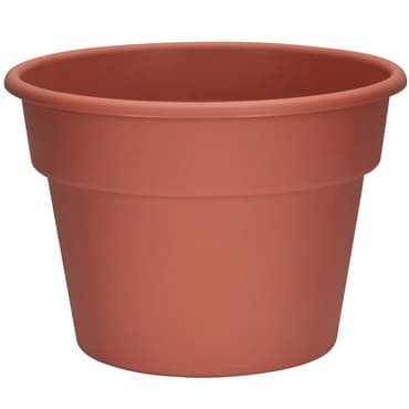 DLN 12.00 COLOR POT 1 CL 28/CS 48CS/PL — photo 1 of 2