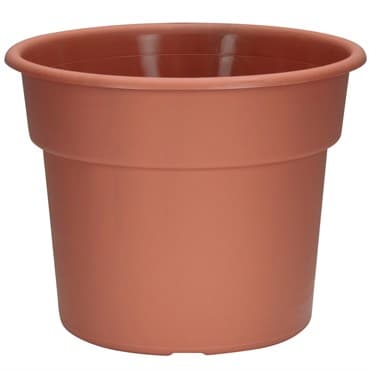 DLN 12.00 COLOR POT 2 TL CL 40/CS 32CS/PL — photo 1 of 2