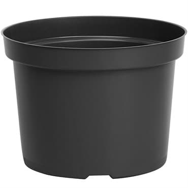 DLN 09.00X06.50 MUMPAN T/W BLK 54/CS 60CS/PL — photo 1 of 2