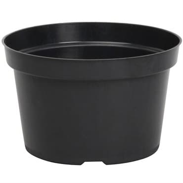 DLN 08.00X05.00 MUMPAN TW BLK 150/CS 50CS/PL — photo 1 of 2