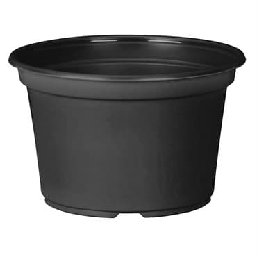 DLN 08.00X05.00 MUMPAN COEX BLK/BLK 170/CS 45CS/PL — photo 1 of 2