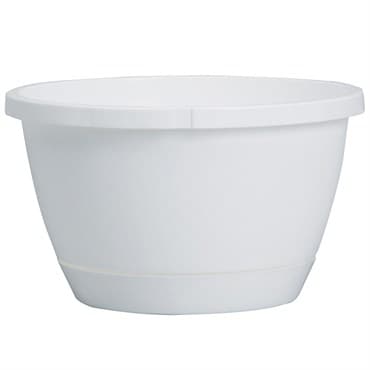 DLN 08.00 TRAD WS HB NO HGR WHT 50/CS 60CS/PL — photo 1 of 2